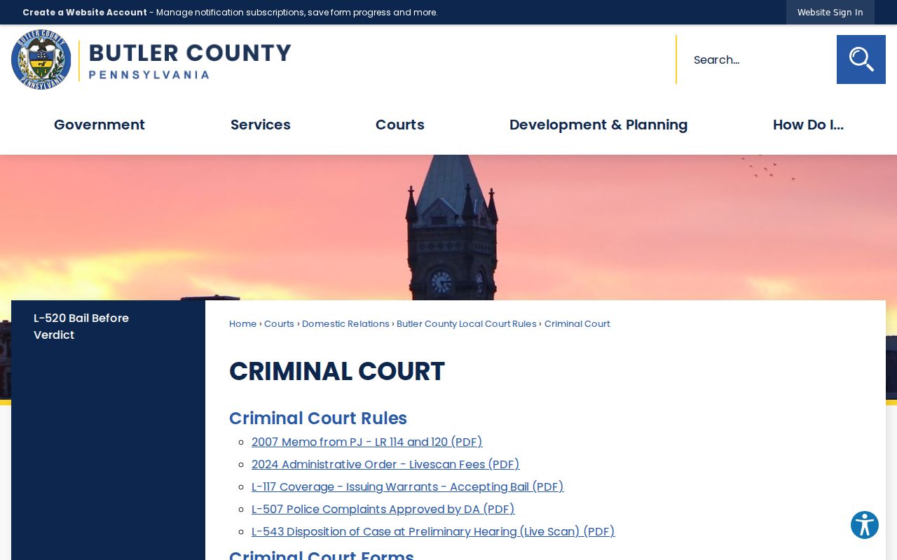 Butler County criminal court case forms